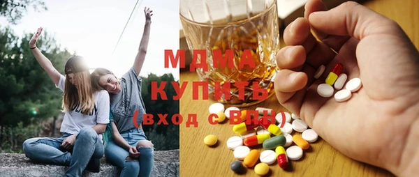 молекула духа Богданович